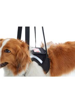 Postroj zvedací Rehab na přední nohy L KRUUSE