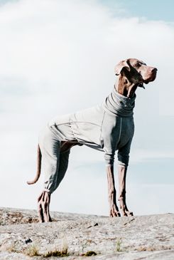 Obleček Hurtta Body Warmer šedý 35M